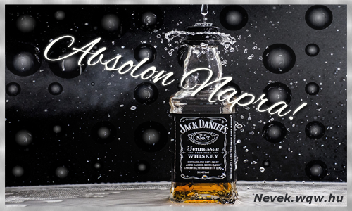 Absolon dvzllap