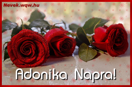 Szp vrs rzsaszlak Adonika nvnapra.
