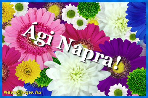 Sznes gerberk. Nvnapi kpeslap gi napra.