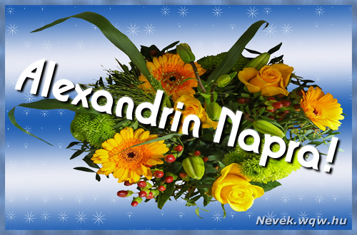 Ezzel a virgcsokorral kvnunk, sok boldog Alexandrin napot!