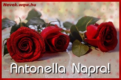 Szp vrs rzsaszlak Antonella nvnapra.