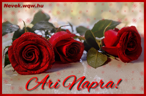 Nvre szl kpeslap Ari napra