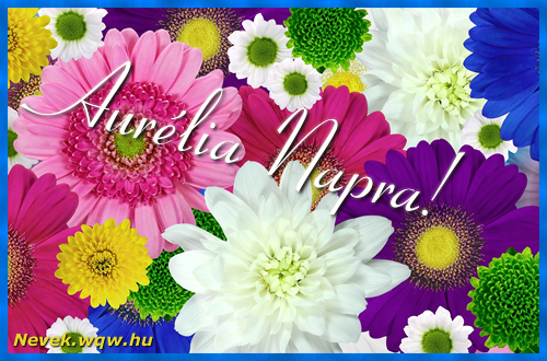 Színes virágok Aurélia névnapra