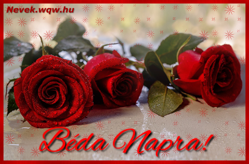Szp vrs rzsaszlak Bda nvnapra.