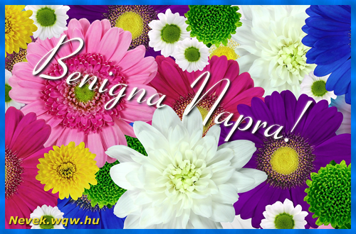 Sznes gerberk. Nvnapi kpeslap Benigna napra.