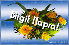 Ezzel a virágcsokorral kívánunk, sok boldog Birgit napot!