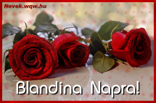 Szp vrs rzsaszlak Blandina nvnapra.