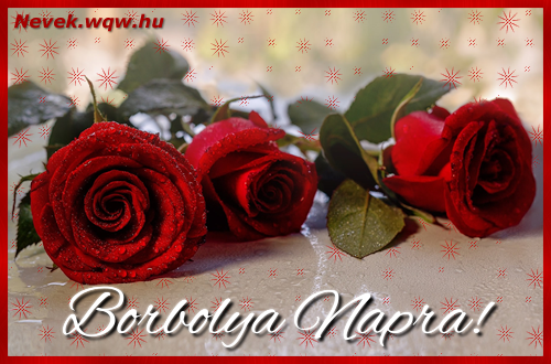Szp vrs rzsaszlak Borbolya nvnapra.