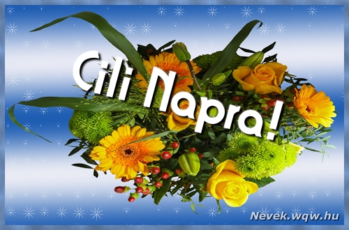 Cili nvnapi kpeslap