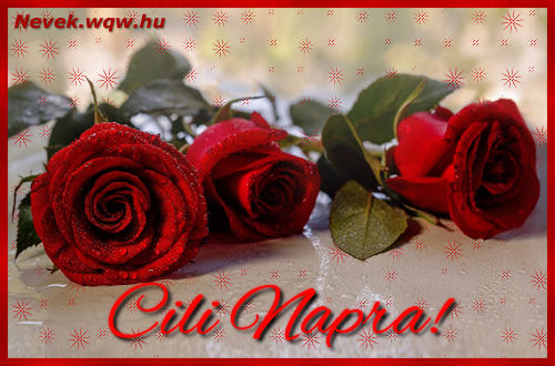 Szp vrs rzsaszlak Cili nvnapra.