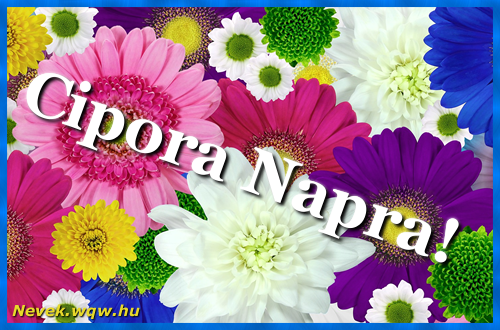 Sznes gerberk. Nvnapi kpeslap Cipora napra.