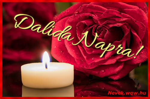 Kpeslap Dalida nvnapra. Dalida napra szeretettel. Sok boldog nvnapot!