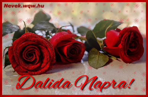 Szp vrs rzsaszlak Dalida nvnapra.