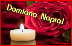 Kpeslap Damina nvnapra. Damina napra szeretettel. Sok boldog nvnapot!