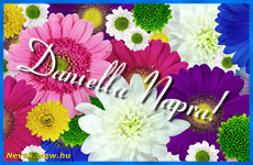 Daniella névnap és névnapi képeslapok