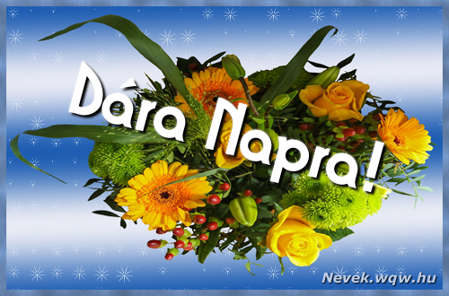 Dra nvnapi kpeslap