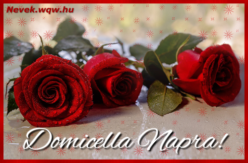Szp vrs rzsaszlak Domicella nvnapra.