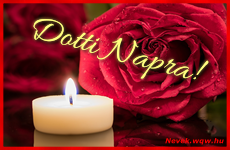 Kpeslap Dotti nvnapra. Dotti napra szeretettel. Sok boldog nvnapot!