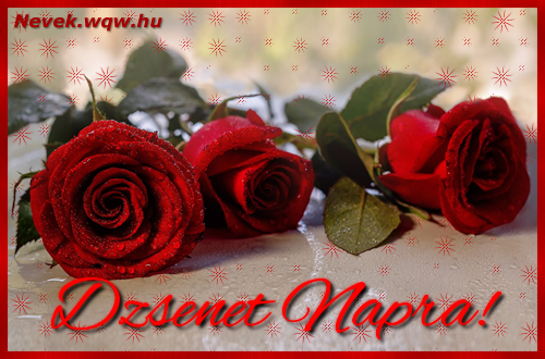 Szp vrs rzsaszlak Dzsenet nvnapra.