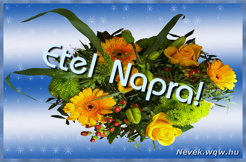 Etel nvnapi kpeslap