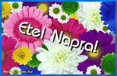 Etel nvnap s nvnapi kpeslapok