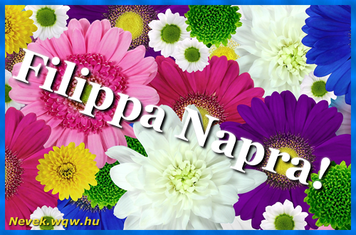 Sznes gerberk. Nvnapi kpeslap Filippa napra.