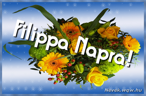 Ezzel a virgcsokorral kvnunk, sok boldog Filippa napot!