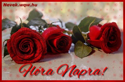 Szp vrs rzsaszlak Flra nvnapra.