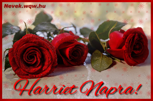 Szép vörös rózsaszálak Harriet névnapra.