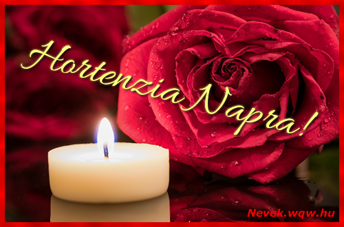 Kpeslap Hortenzia nvnapra. Hortenzia napra szeretettel. Sok boldog nvnapot!