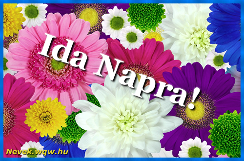 Színes virágok Ida névnapra