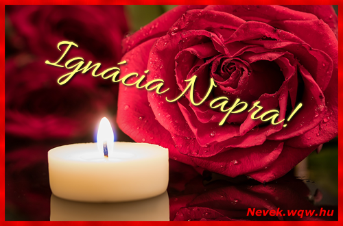 Kpeslap Igncia nvnapra. Igncia napra szeretettel. Sok boldog nvnapot!