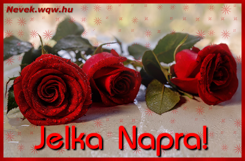 Szp vrs rzsaszlak Jelka nvnapra.