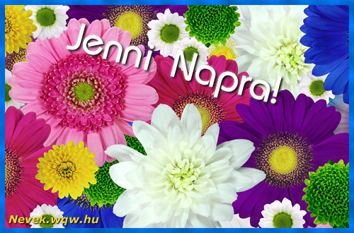 Sznes gerberk. Nvnapi kpeslap Jenni napra.
