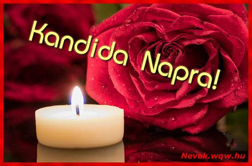 Kandida kpeslap