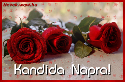 Nvre szl kpeslap Kandida napra