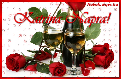 Katrina nvnapi kp