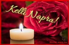 Kpeslap Kelli nvnapra. Kelli napra szeretettel. Sok boldog nvnapot!