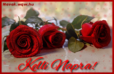 Szp vrs rzsaszlak Kelli nvnapra.
