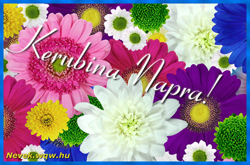 Sznes gerberk. Nvnapi kpeslap Kerubina napra.