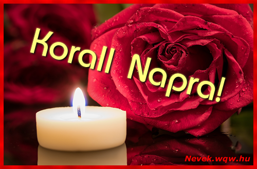 Korall kpeslap