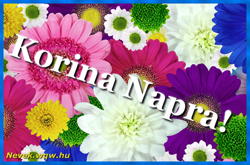 Sznes gerberk. Nvnapi kpeslap Korina napra.