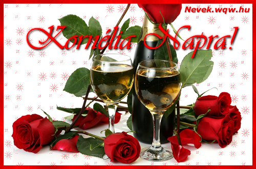 Kornlia nvnapi kp