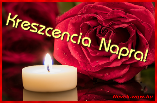 Kpeslap Kreszcencia nvnapra. Kreszcencia napra szeretettel. Sok boldog nvnapot!