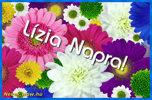 Sznes gerberk. Nvnapi kpeslap Lzia napra.