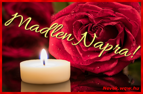 Kpeslap Madlen nvnapra. Madlen napra szeretettel. Sok boldog nvnapot!