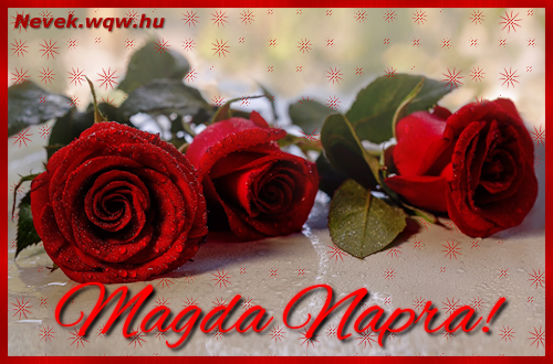 Szép vörös rózsaszálak Magda névnapra.