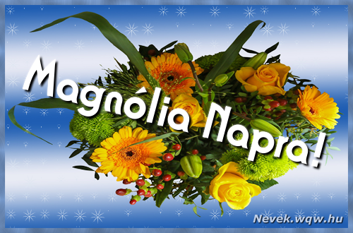 Magnlia nvnapi kpeslap