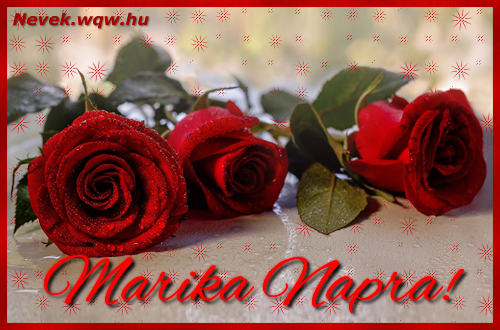 Szp vrs rzsaszlak Marika nvnapra.