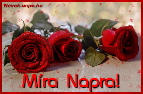 Szp vrs rzsaszlak Mra nvnapra.